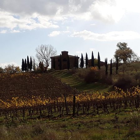 Podere Pievina Delle Corti - Dimora Di Campagna Sinalunga Eksteriør billede