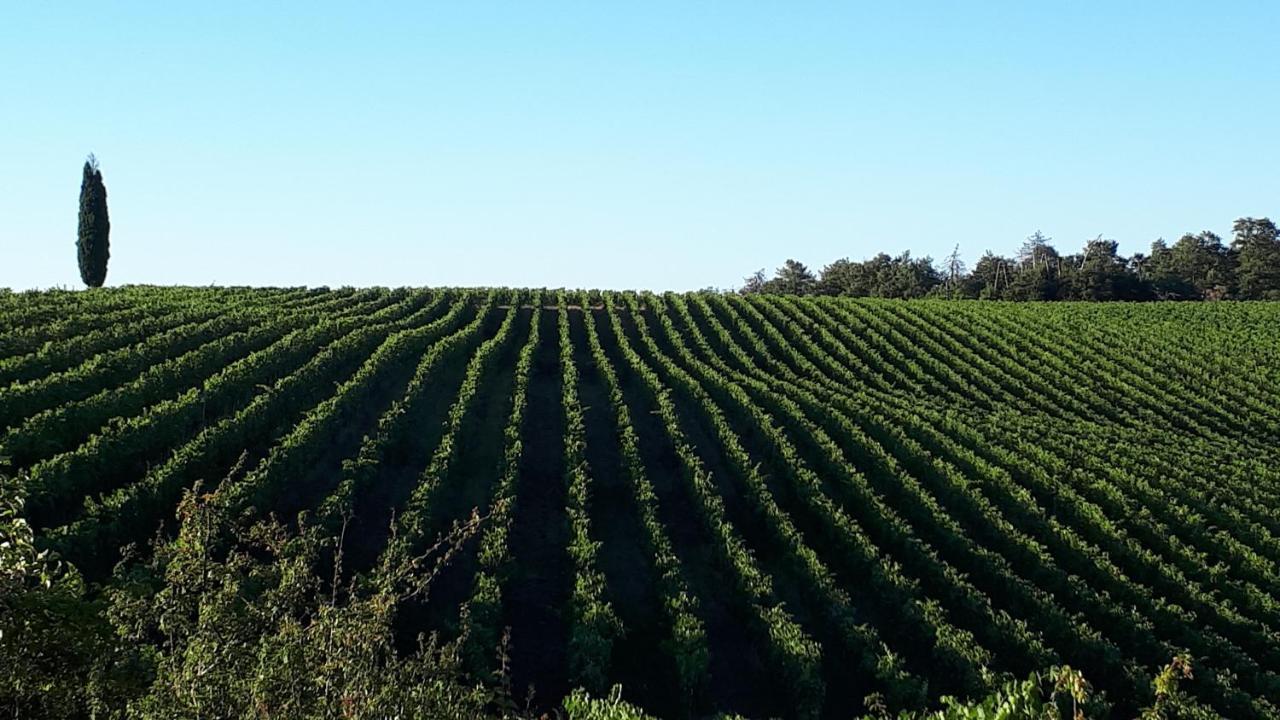 Podere Pievina Delle Corti - Dimora Di Campagna Sinalunga Eksteriør billede