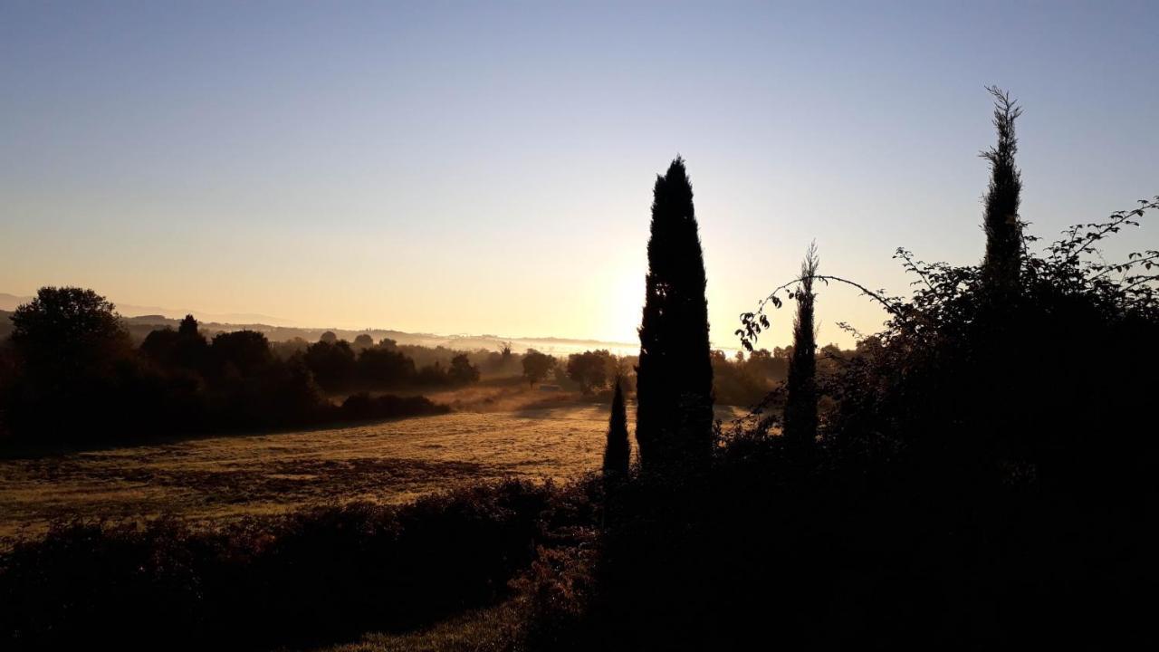 Podere Pievina Delle Corti - Dimora Di Campagna Sinalunga Eksteriør billede