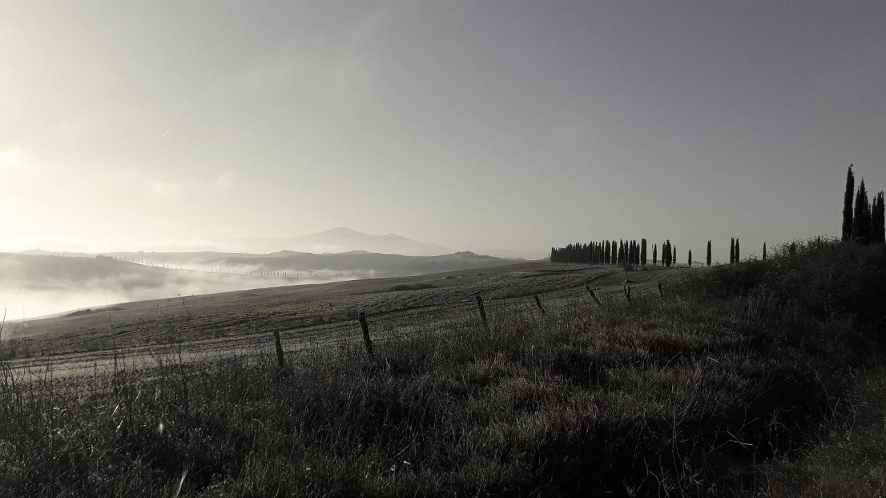 Podere Pievina Delle Corti - Dimora Di Campagna Sinalunga Eksteriør billede