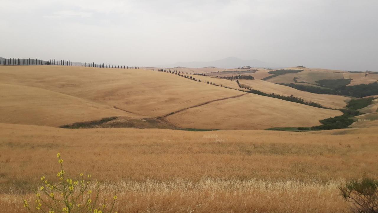 Podere Pievina Delle Corti - Dimora Di Campagna Sinalunga Eksteriør billede