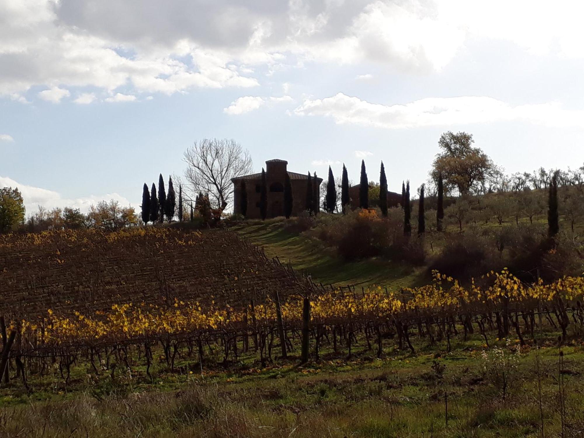 Podere Pievina Delle Corti - Dimora Di Campagna Sinalunga Eksteriør billede