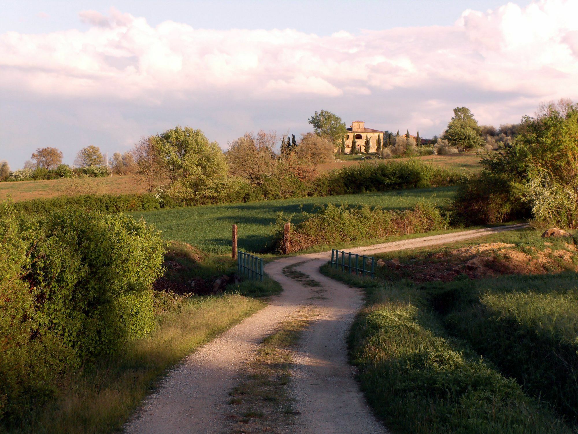 Podere Pievina Delle Corti - Dimora Di Campagna Sinalunga Eksteriør billede