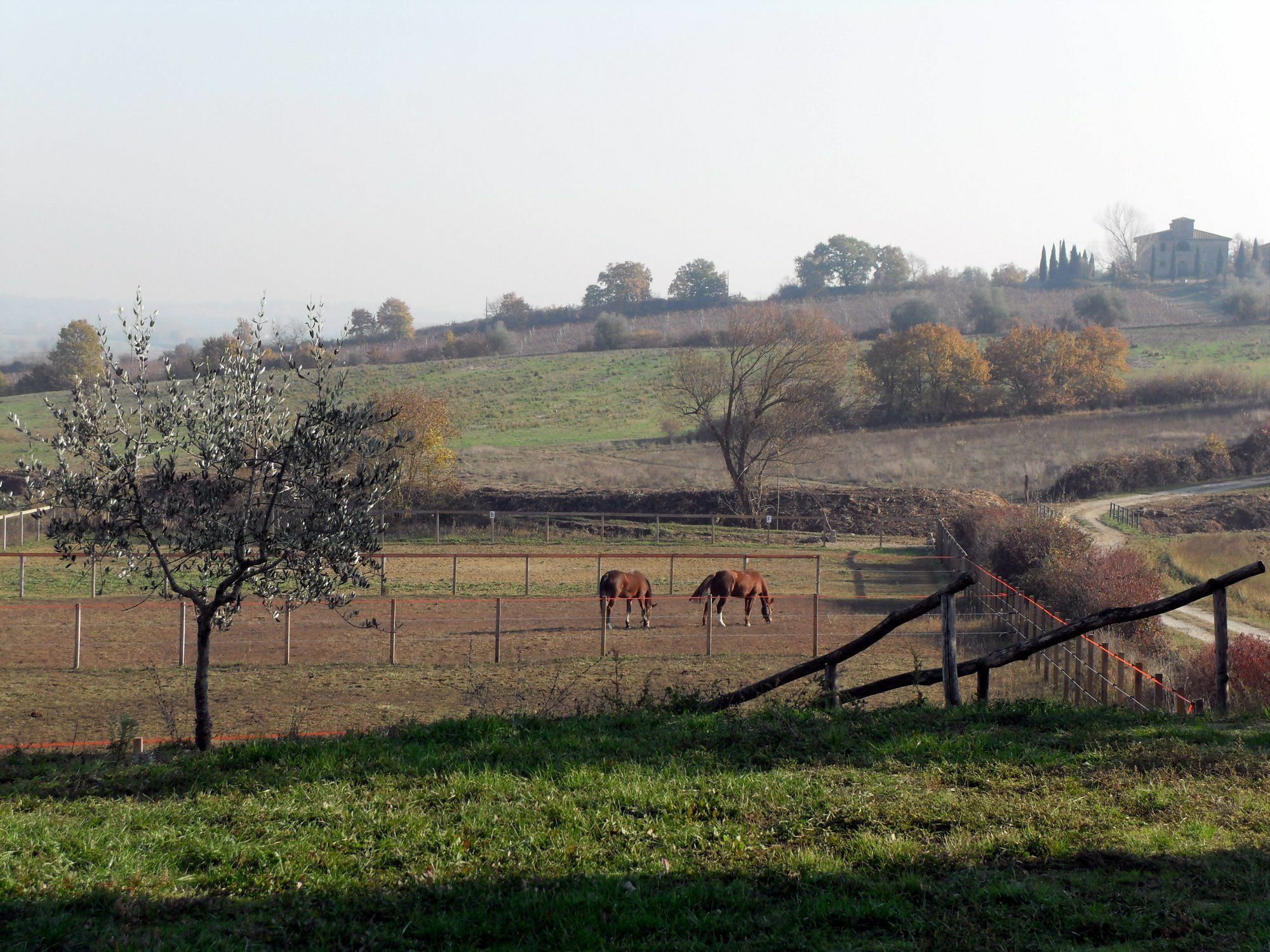 Podere Pievina Delle Corti - Dimora Di Campagna Sinalunga Eksteriør billede